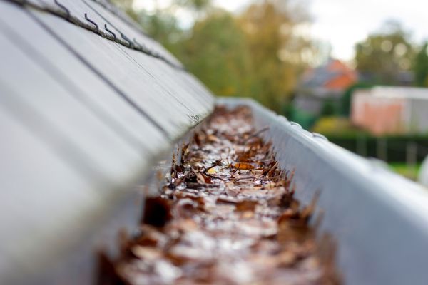 Cost of Commercial Gutter Cleaning in San Ramon