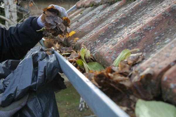 Cost of Commercial Gutter Unclogging in San Ramon