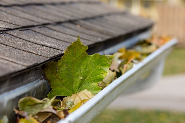 Cost of Gutter System Cleaning in San Ramon