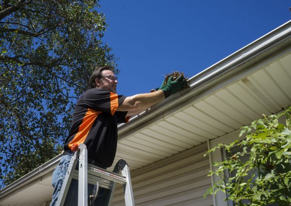 Cost of Eavestrough Clearing in San Ramon