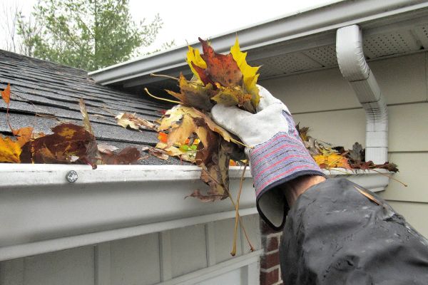 Cost of Gutter Blockage Removal in San Ramon