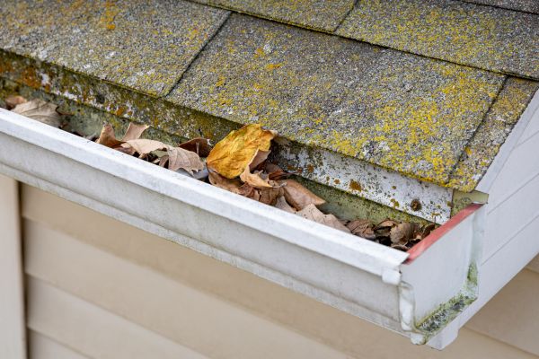 Cost of Garage Gutter Cleaning in San Ramon