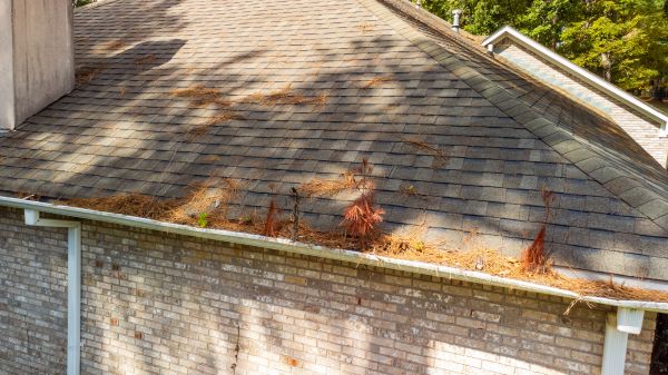 Cost of Gutter Pine Needle Removal in San Ramon