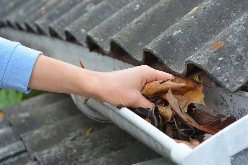 Gutter Leaves Removal detail