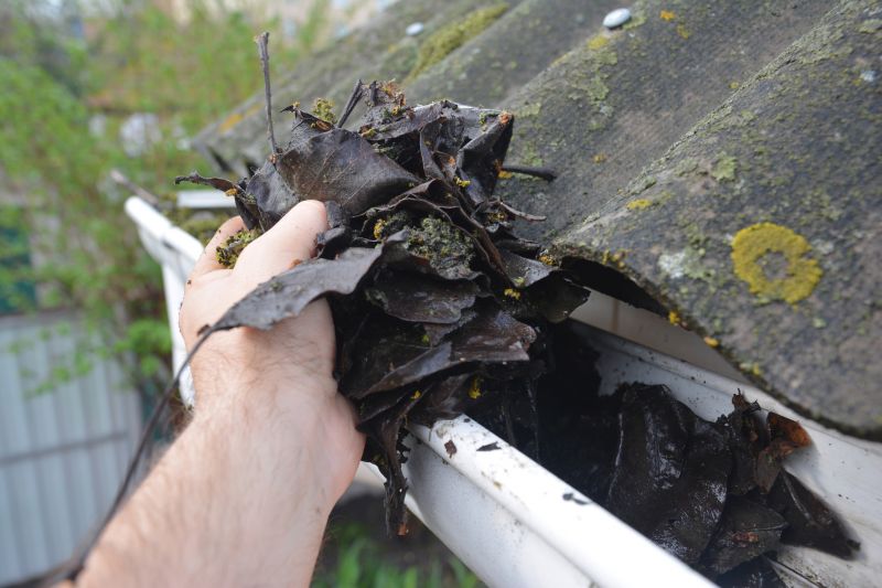 Roof Gutter Debris Removal